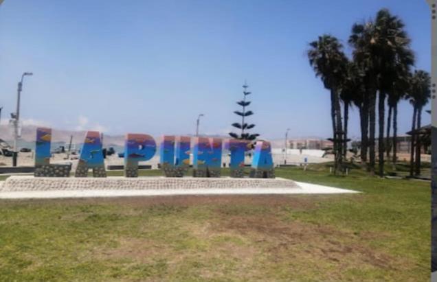 Lindo Departamento Frente Al Mar Apartamento *